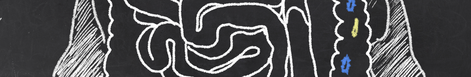 Gastrointestinal Health